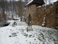 IMG_20231119_112733 (1024x768).jpg